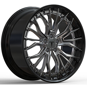 model y gemini wheels